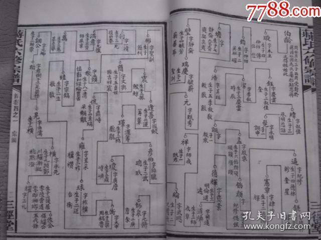 老家谱---《蒋氏族谱》三国琬系,民国白纸版特殊体例共20本.