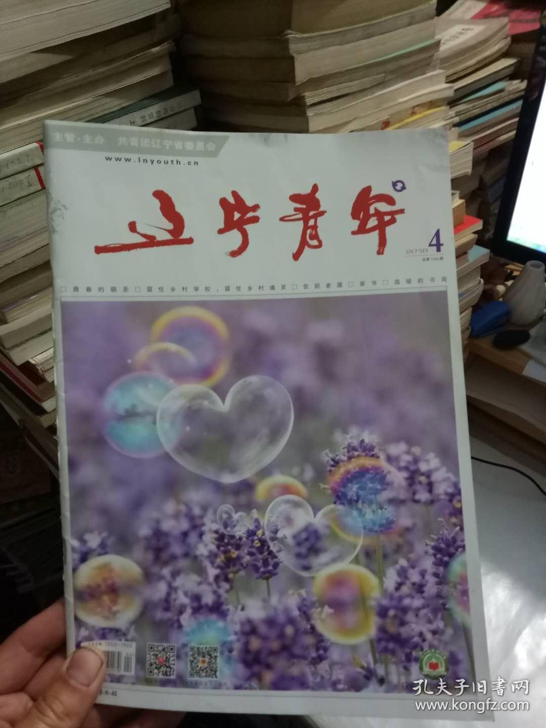 辽宁青年(2018年4期)