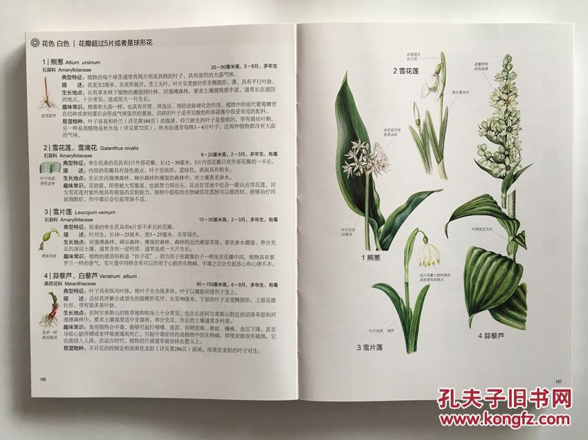 那朵花的名字870多种开花植物彩色手绘图鉴全彩常见植物图鉴大全书
