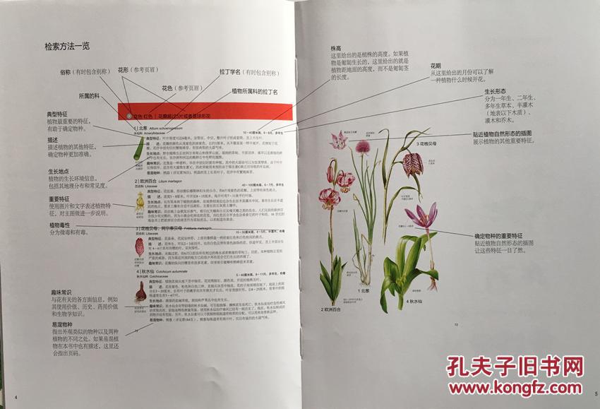 全彩常见植物图鉴大全书德国经典花卉手绘图鉴植物百科全书自然科普书