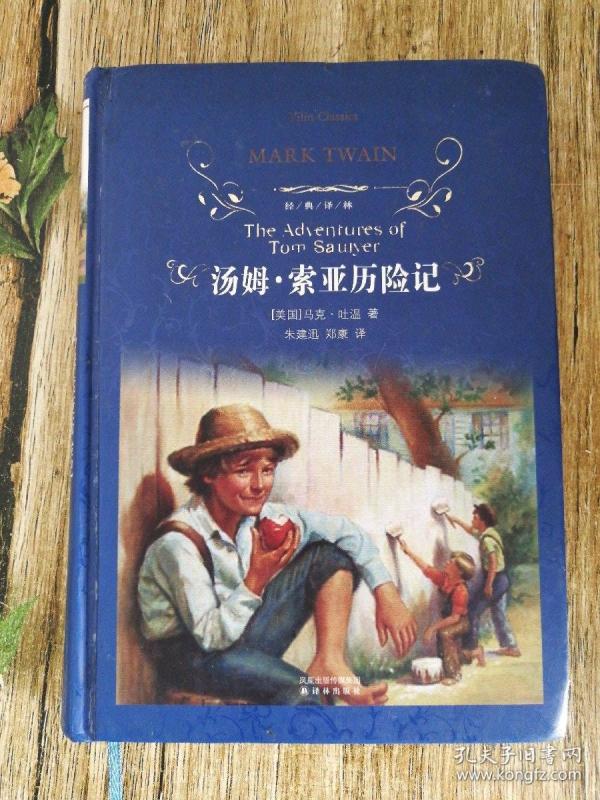 汤姆 索亚历险记