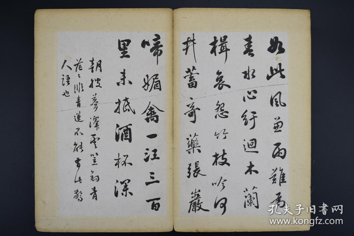 罕见《李铁林墨迹》华孙氏题 锦面精装 册页一