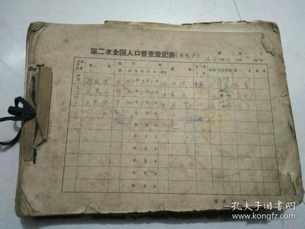 全国人口调查登记表_常住人口登记表(3)