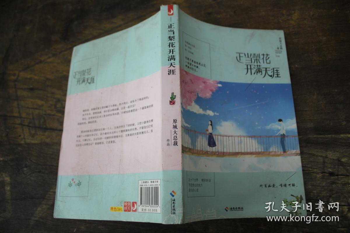 正当梨花开满天涯