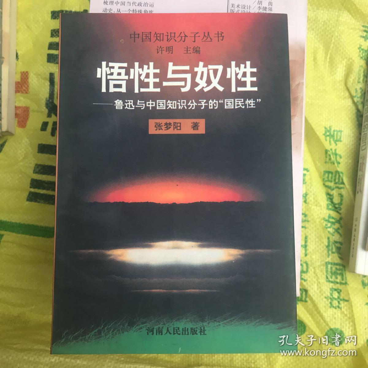 悟性与奴性:鲁迅与中国知识分子的"国民性"