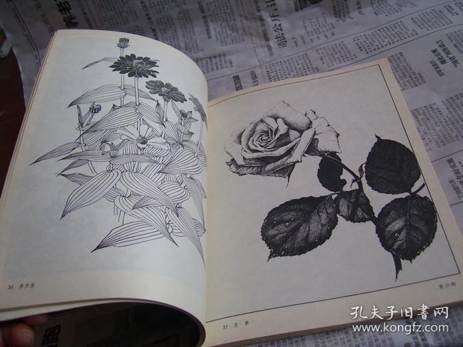 花卉黑白画