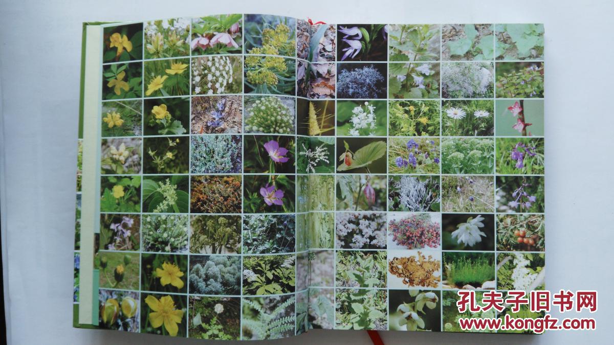 【图】太白七药原色图鉴 珍品!_上海科学技术