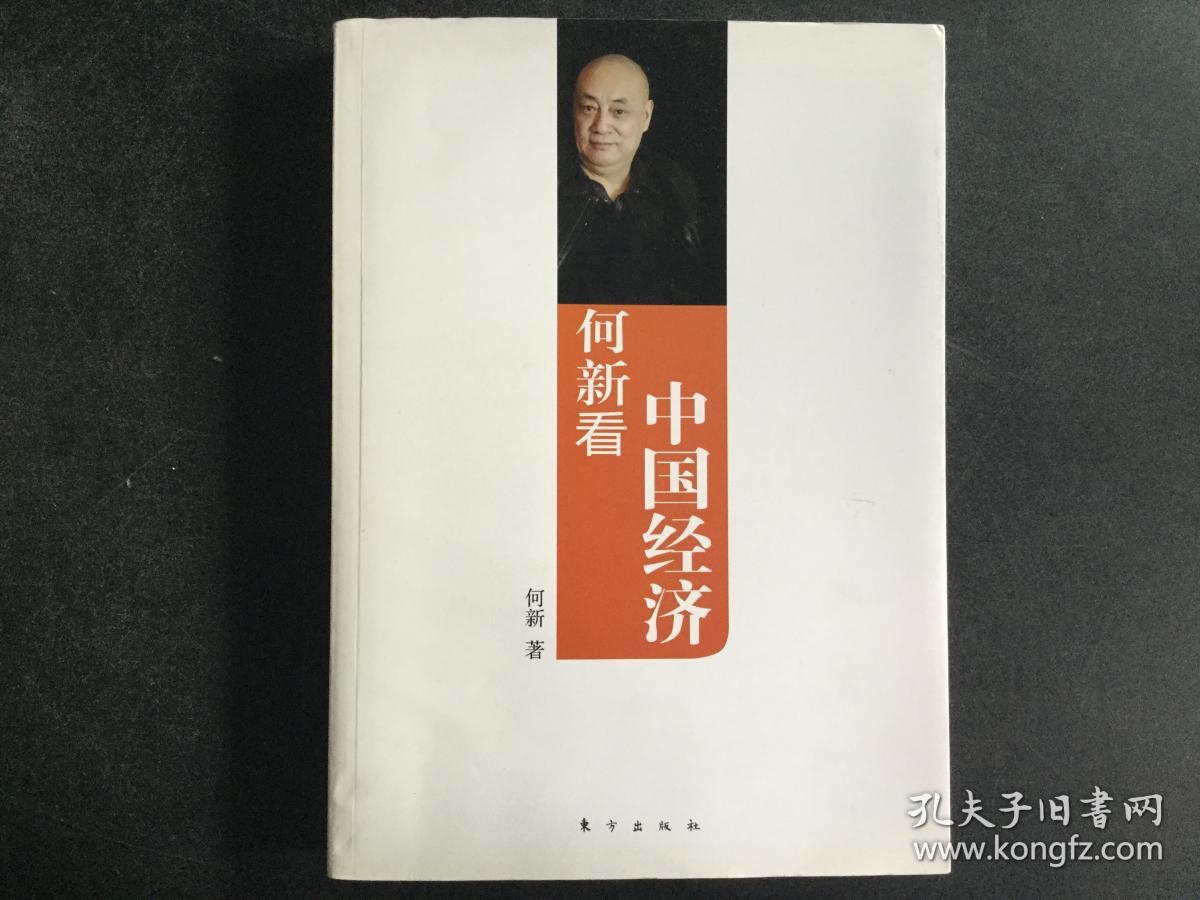 何新看中国经济:来自真正大师的非主流、独立