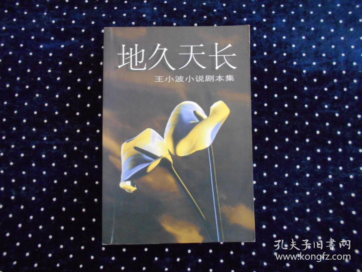 地久天长:王小波小说剧本集