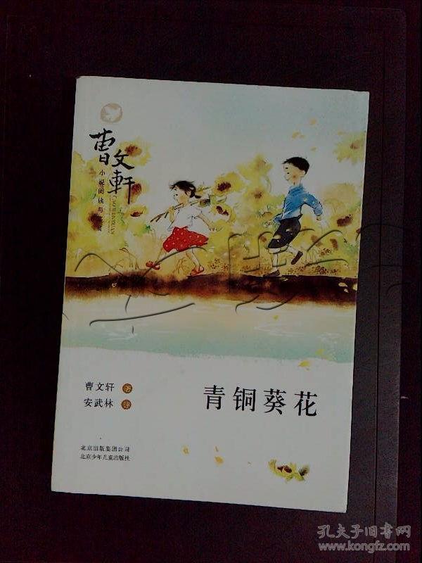 青铜葵花---[id:378616][%#212k3%#]---[中图分类法][!i207.