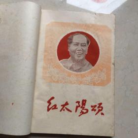 太阳赞歌简谱_红红的太阳简谱(3)