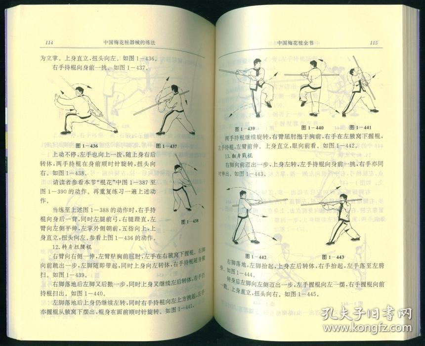 中国梅花桩成拳大法.训练大法.文武大法.器械的练法一