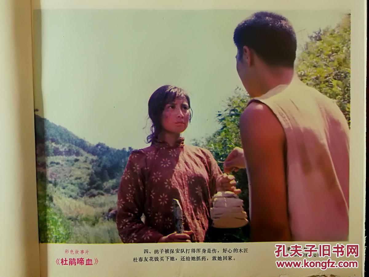 电影海报:《杜鹃啼血》峨影厂彩色故事片【1984年电影剧照说明12开8