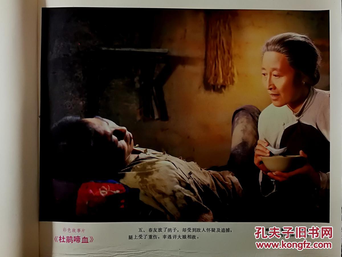 电影海报:《杜鹃啼血》峨影厂彩色故事片【1984年电影剧照说明12开8