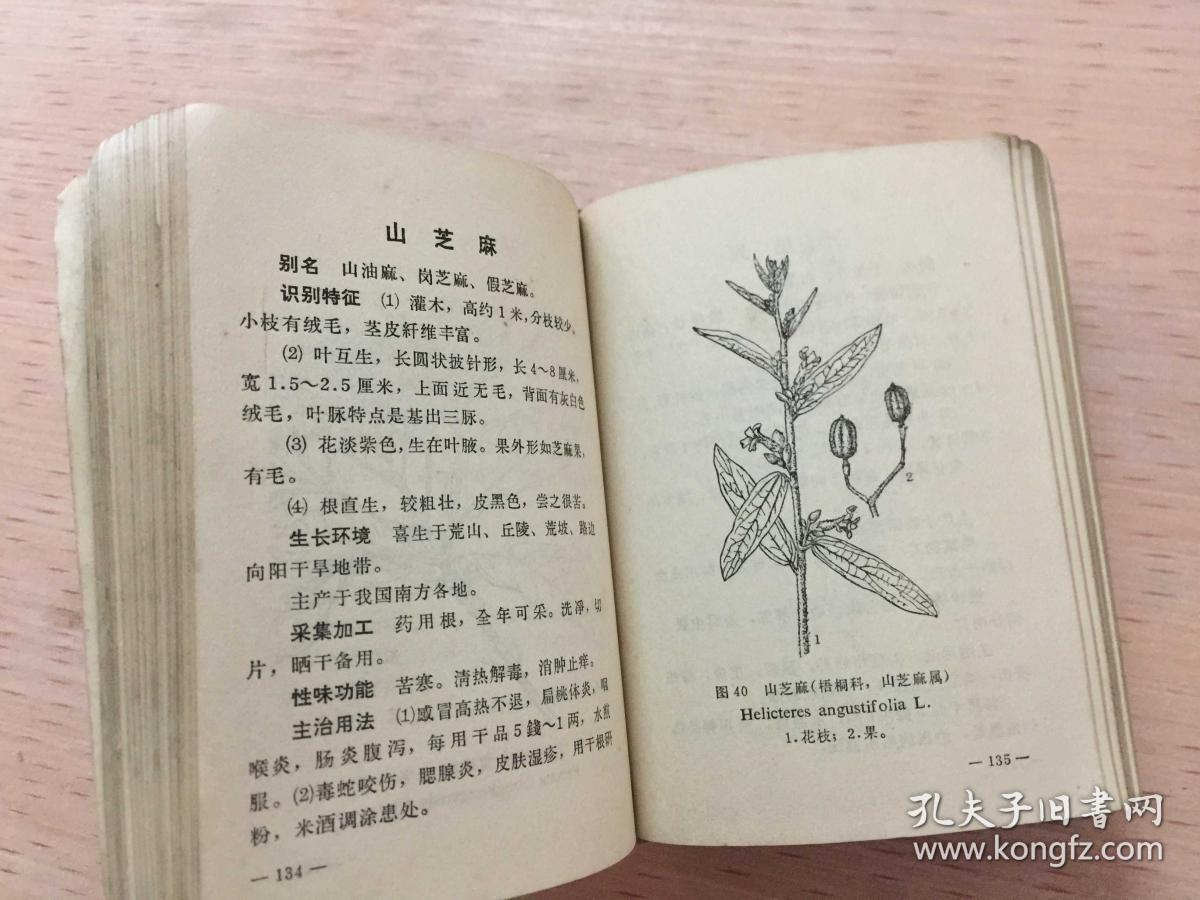 常用中草药手册