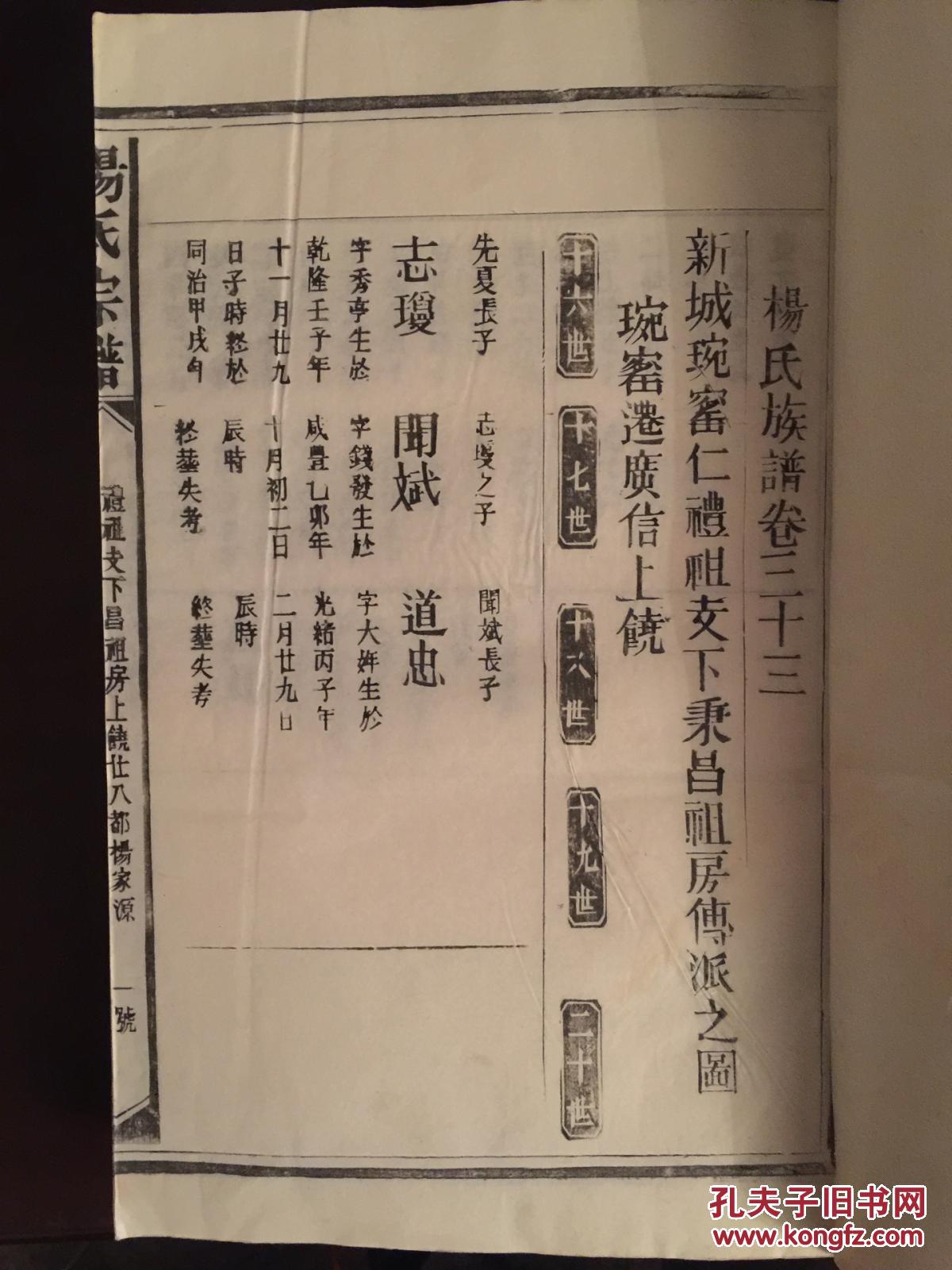 杨氏族谱