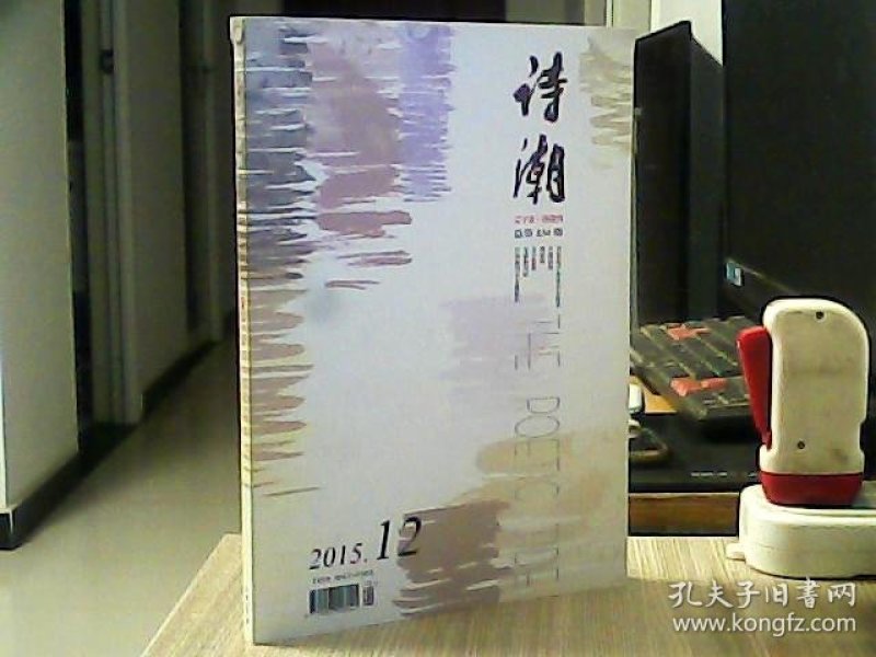 《诗潮》杂志