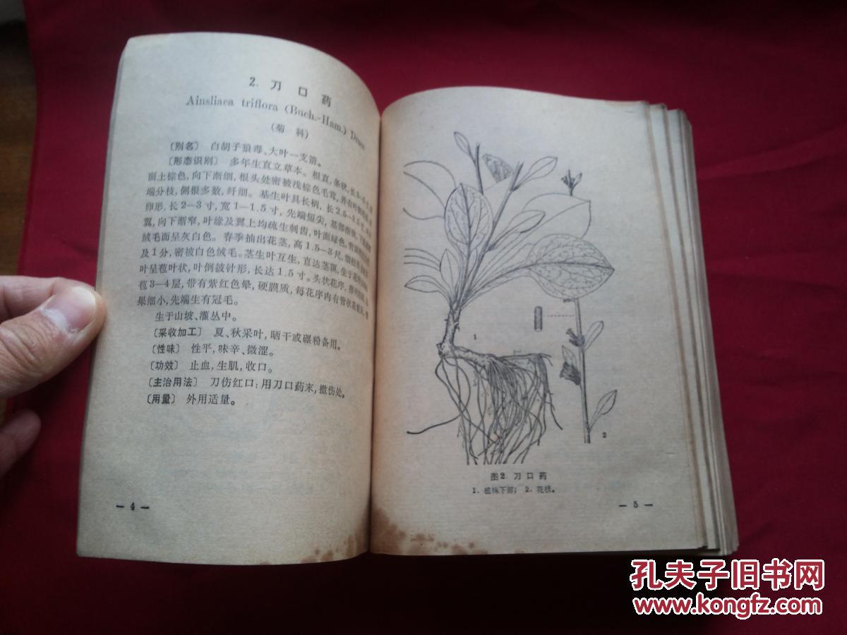 内带大量珍贵中草药插图及照片及方剂等,图文本书影如一
