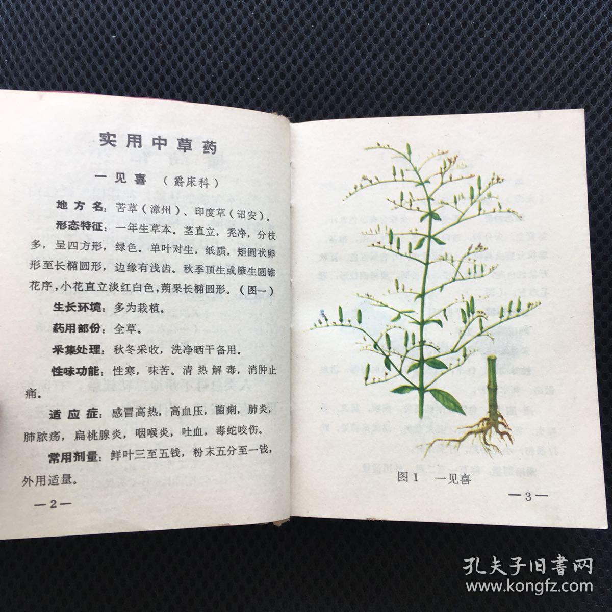 实用中草药(龙溪专区)收闽南地区中草药310种,并附图310幅,处方一千多