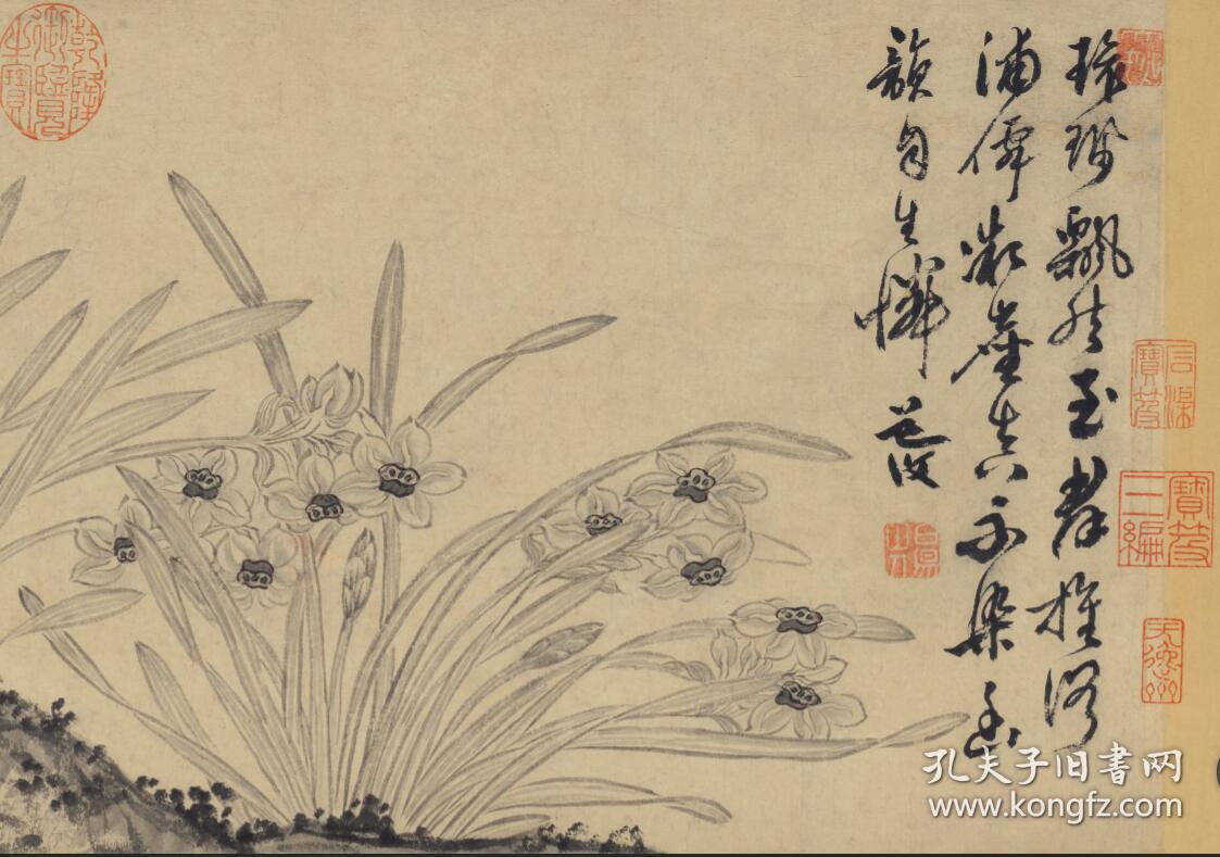 陈淳_水仙图 26.64*251.59公分.