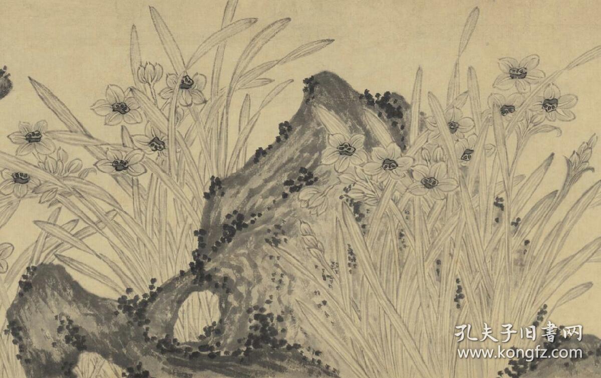 陈淳_水仙图 26.64*251.59公分.