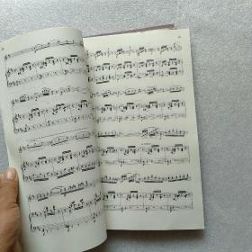 魔道祖师小提琴曲谱_魔道祖师忘羡曲谱古筝(3)