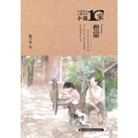 中国当代儿童文学小说十家 看望