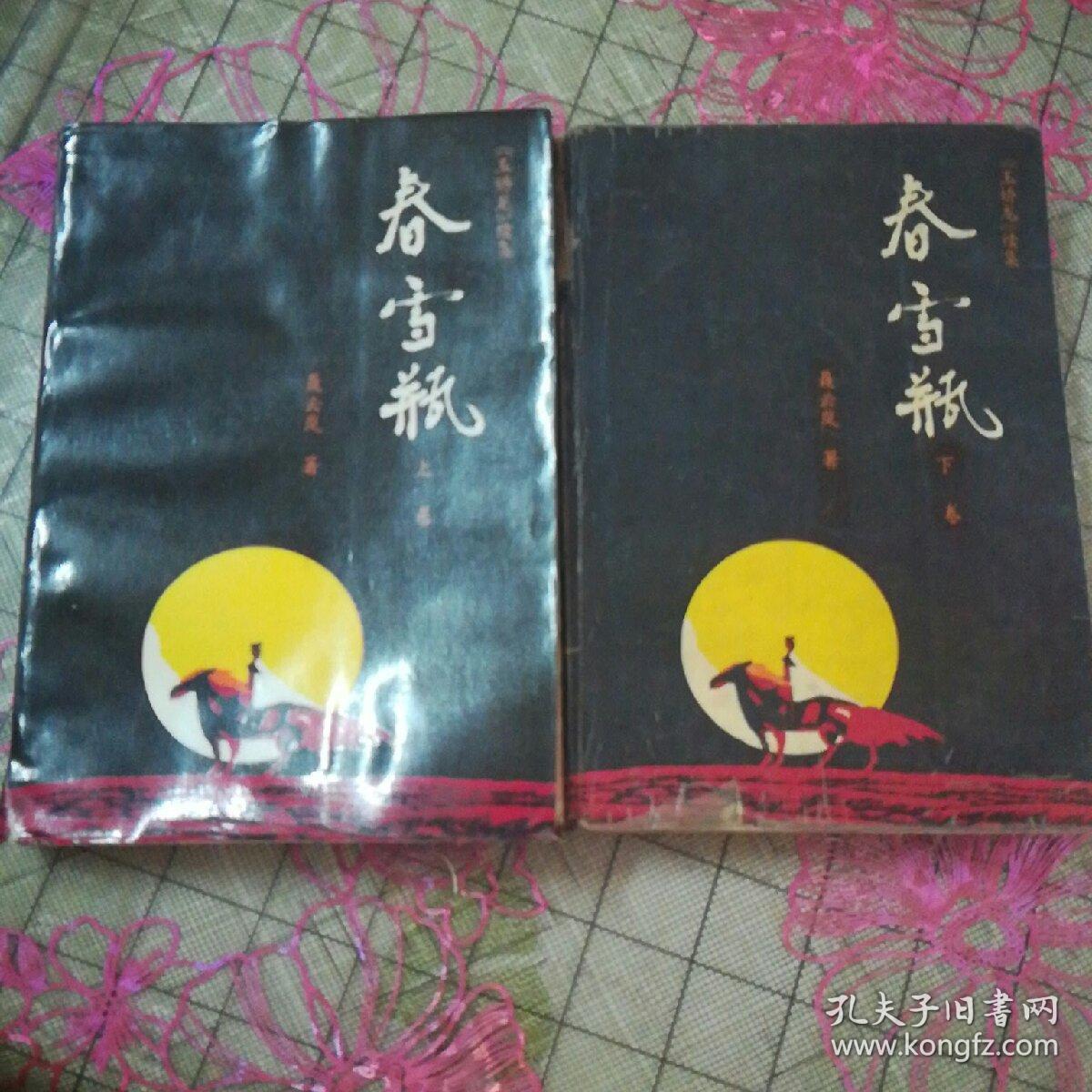 老武侠《春雪瓶》上下册全合售,玉娇龙续集,馆藏配本有印章,书有有无