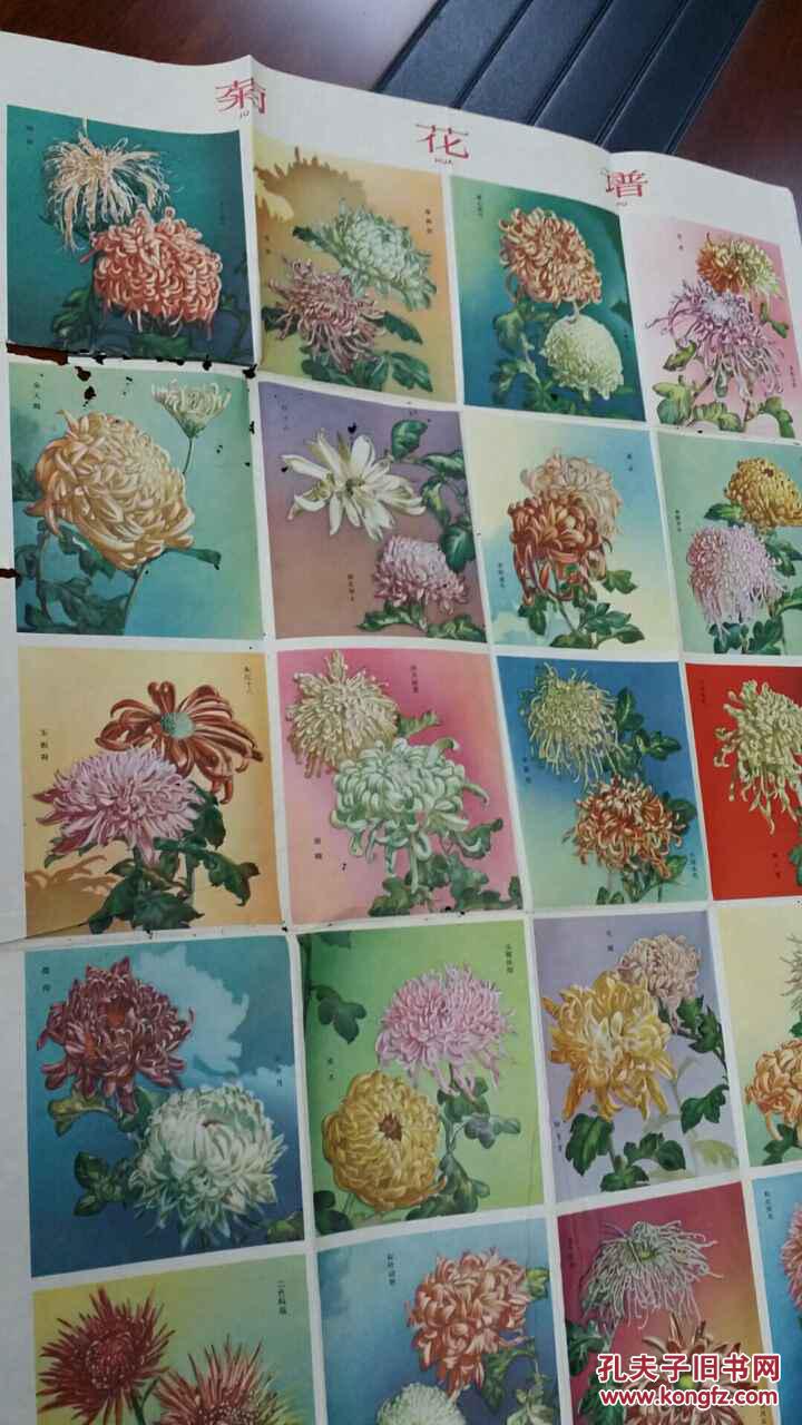 年画简谱_年画娃娃