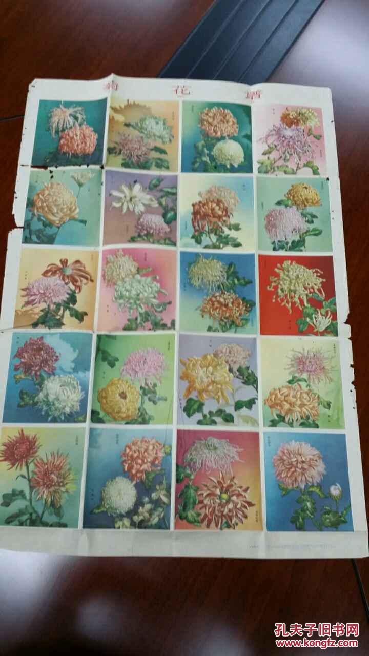 年画简谱_年画娃娃
