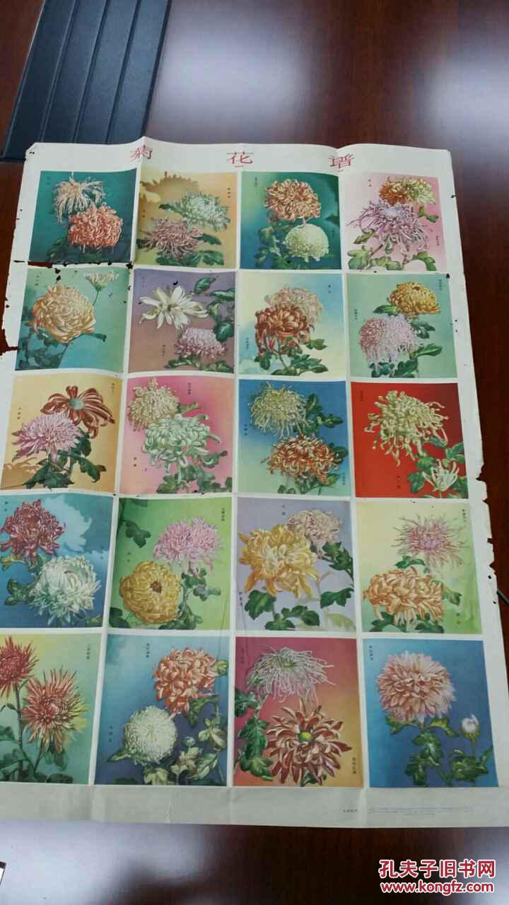 年画简谱_年画娃娃