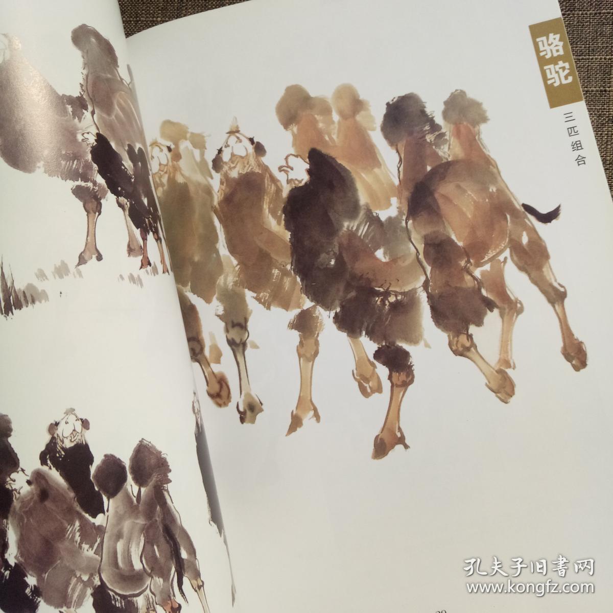 千姿百态 骆驼 写意走兽 绘画技法 国画入门自学 画画