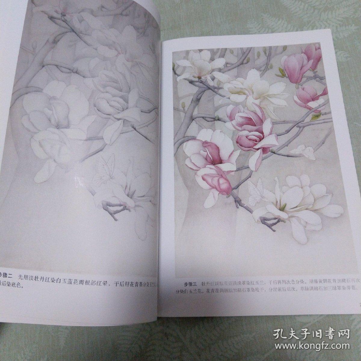 工笔玉兰设色技法
