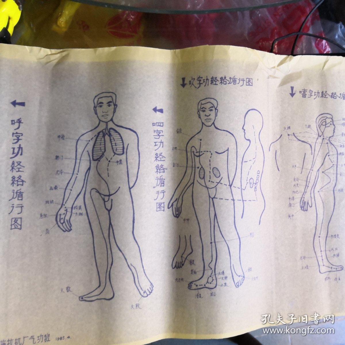 【六字诀养生法经络循行参考图--附文字六字诀要领解析】宽31公分.