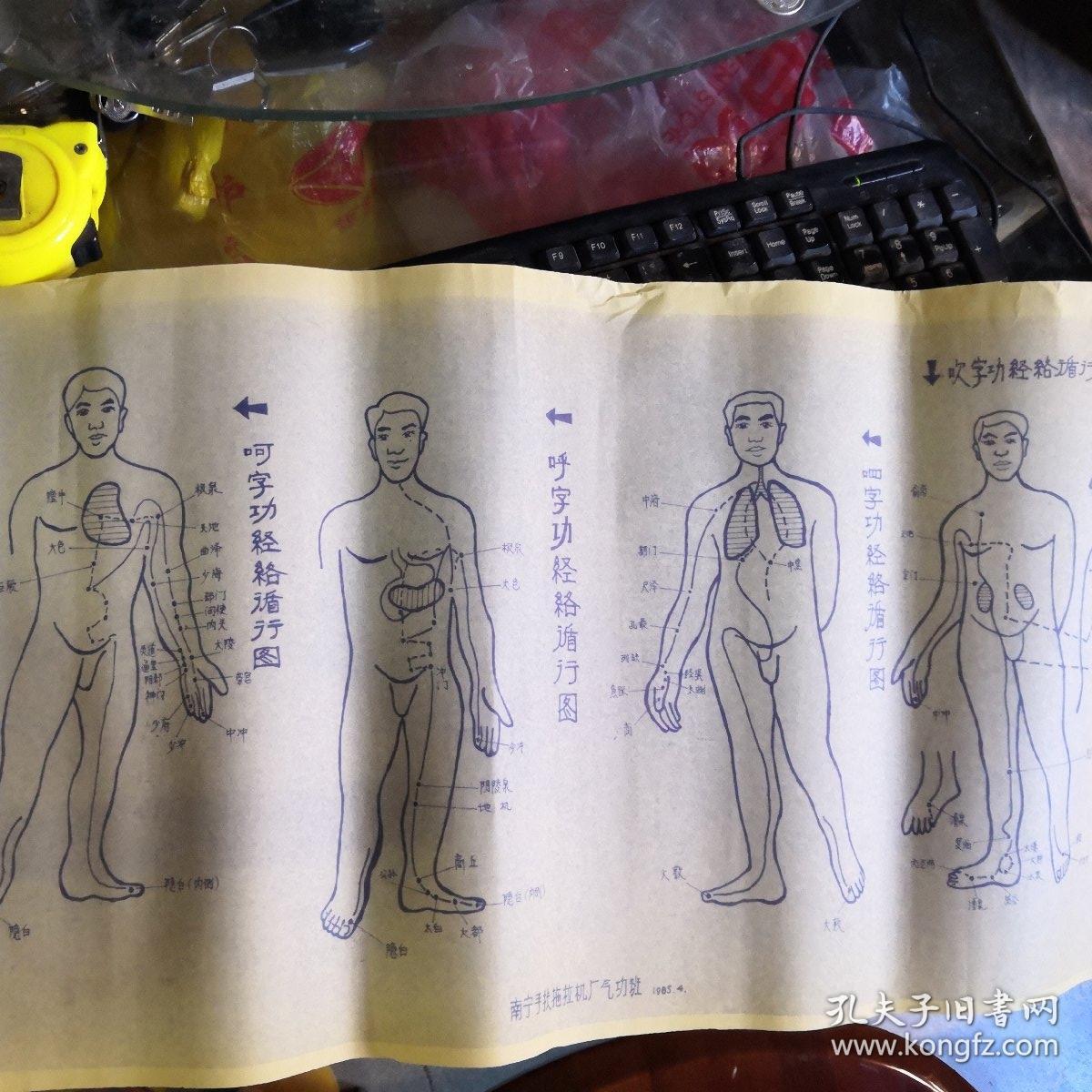 【六字诀养生法经络循行参考图--附文字六字诀要领解析】宽31公分.