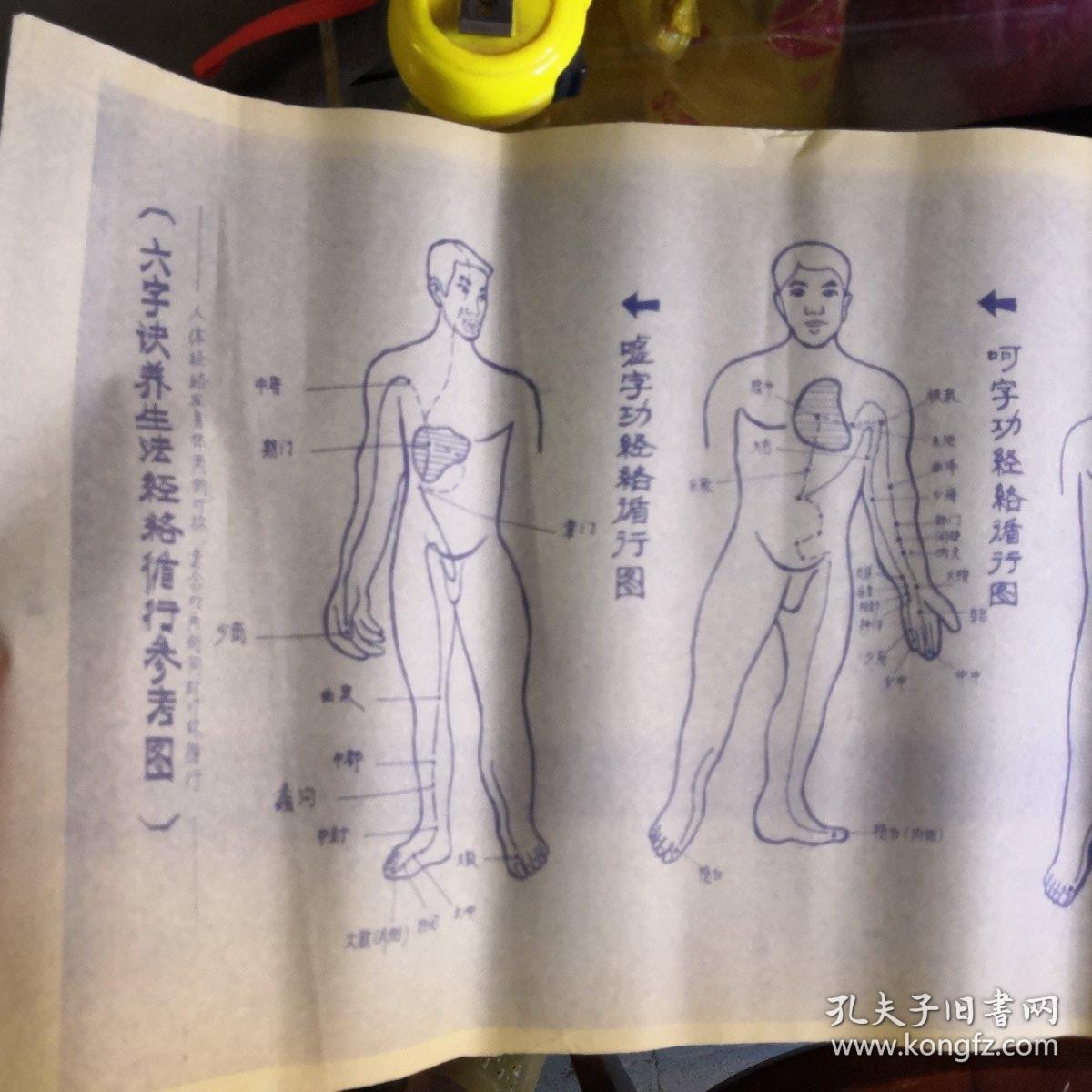 【六字诀养生法经络循行参考图--附文字六字诀要领解析】宽31公分.