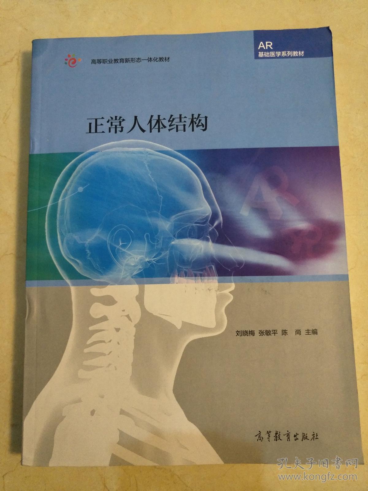 正常人体结构