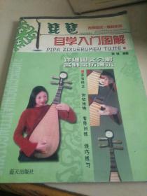 琵琶自学入门图解