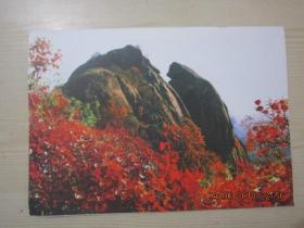 【期刊】天中人大 2016年第4期【在市委人大