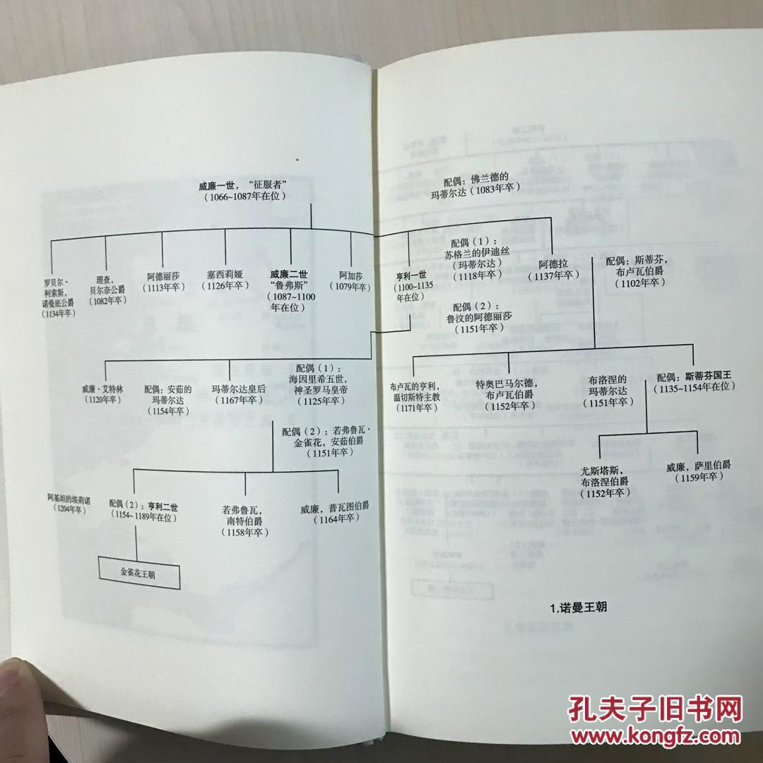 金雀花王朝