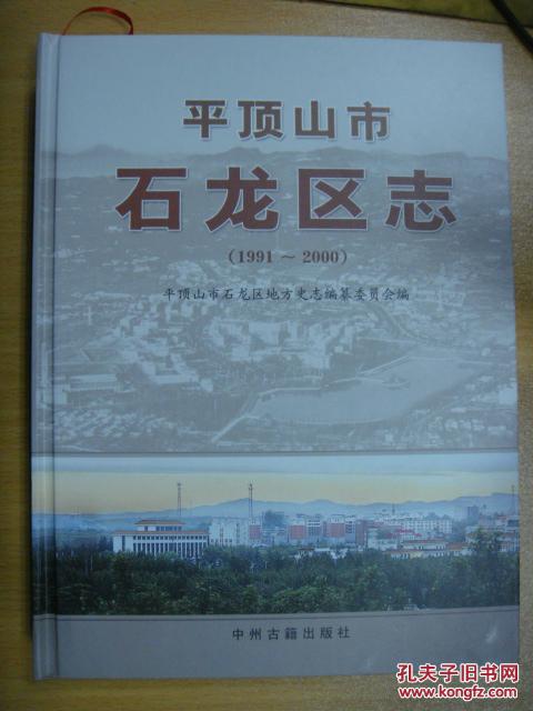 平顶山市石龙区志19912000