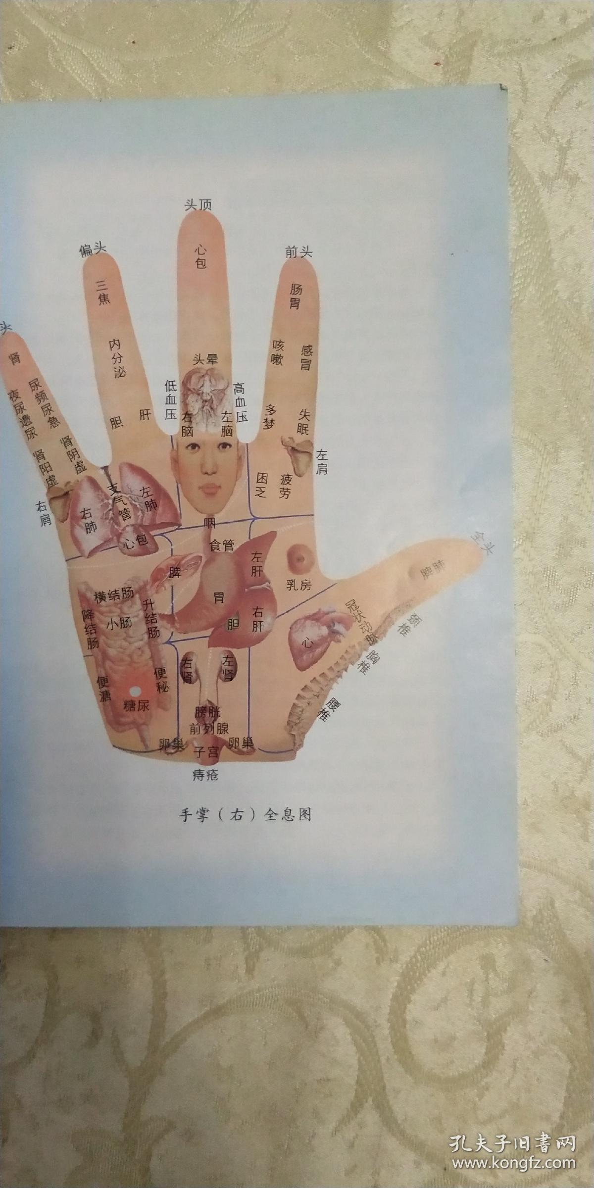观手知健康:经络全息手诊_蔡洪光 著_孔夫子旧书网