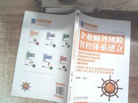 企业财务风险管控体系建立