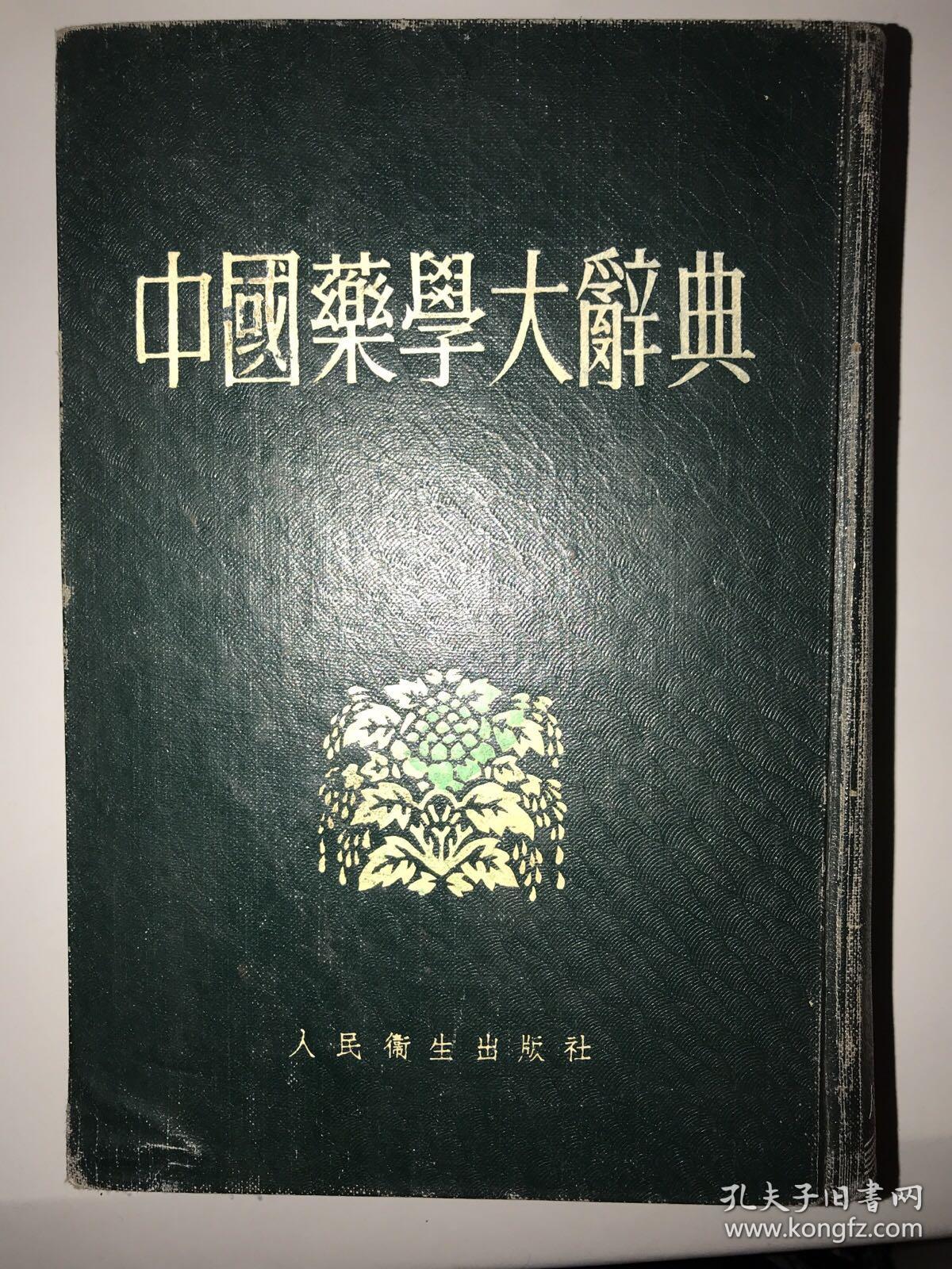 中国药学大辞典(上)