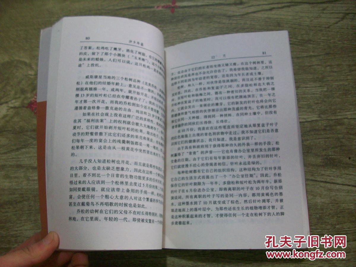 沙乡年鉴 a8-3