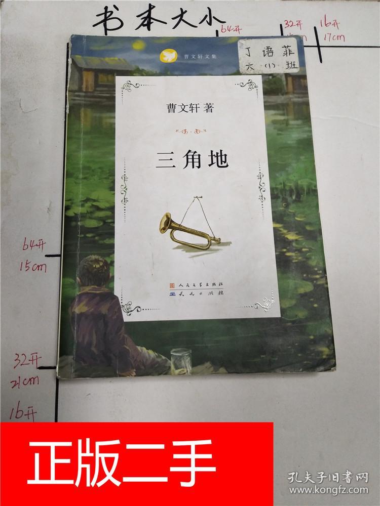 曹文轩文集:三角地