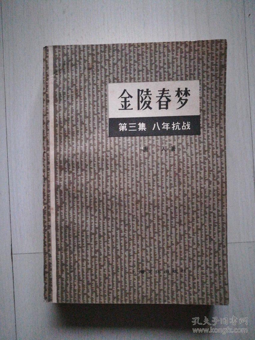 金陵春梦(3)