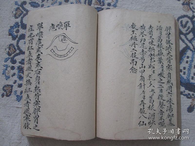 永进记》32开43页(内有"羊毛瘟疫新论"等并手绘图,边角有损伤及少量