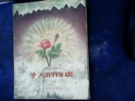 冬天的玫瑰:童话诗集（严个凡插图本）