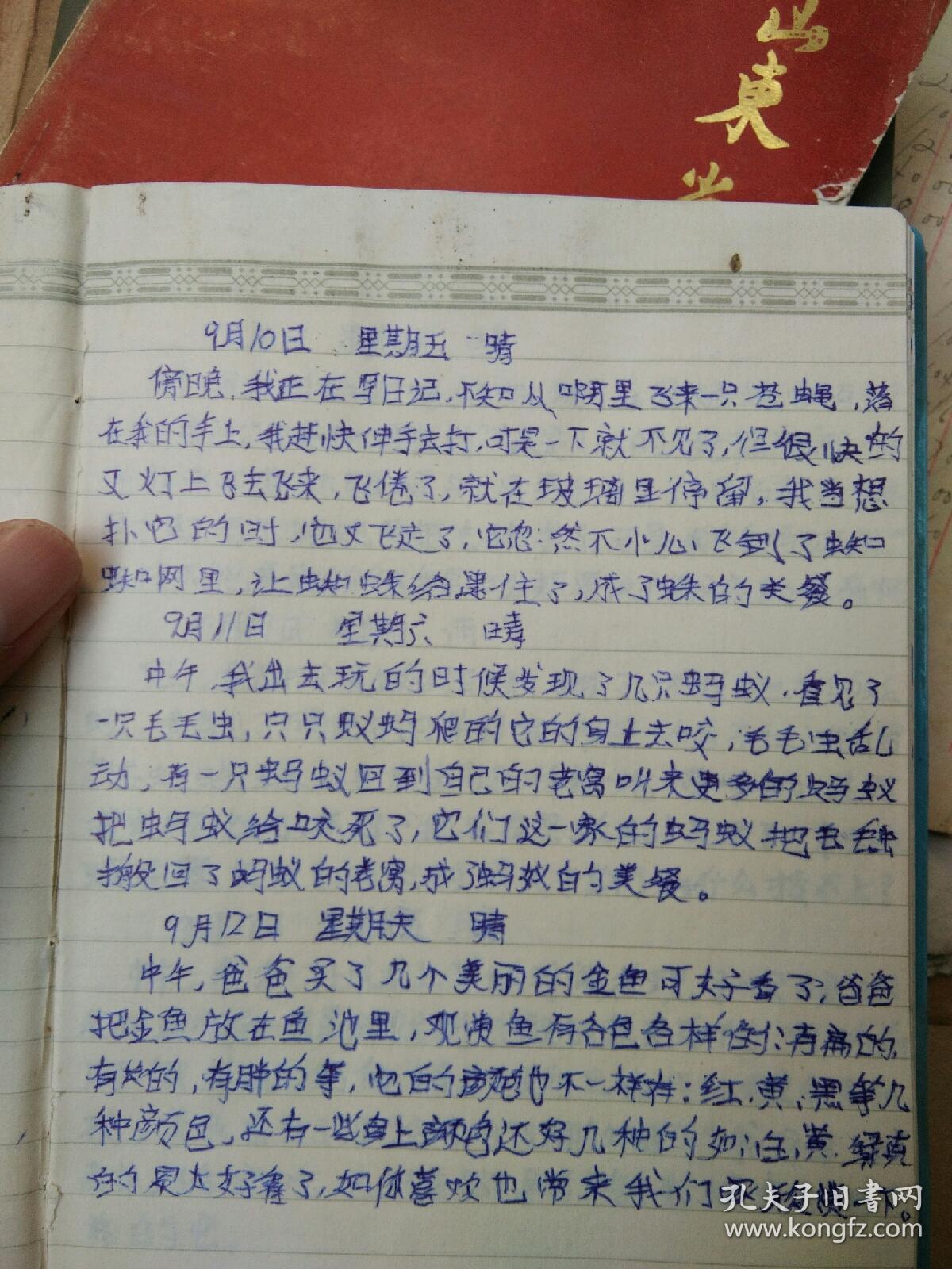 九十年代小朋友写的日记,很有意思,共36篇,只需25元!